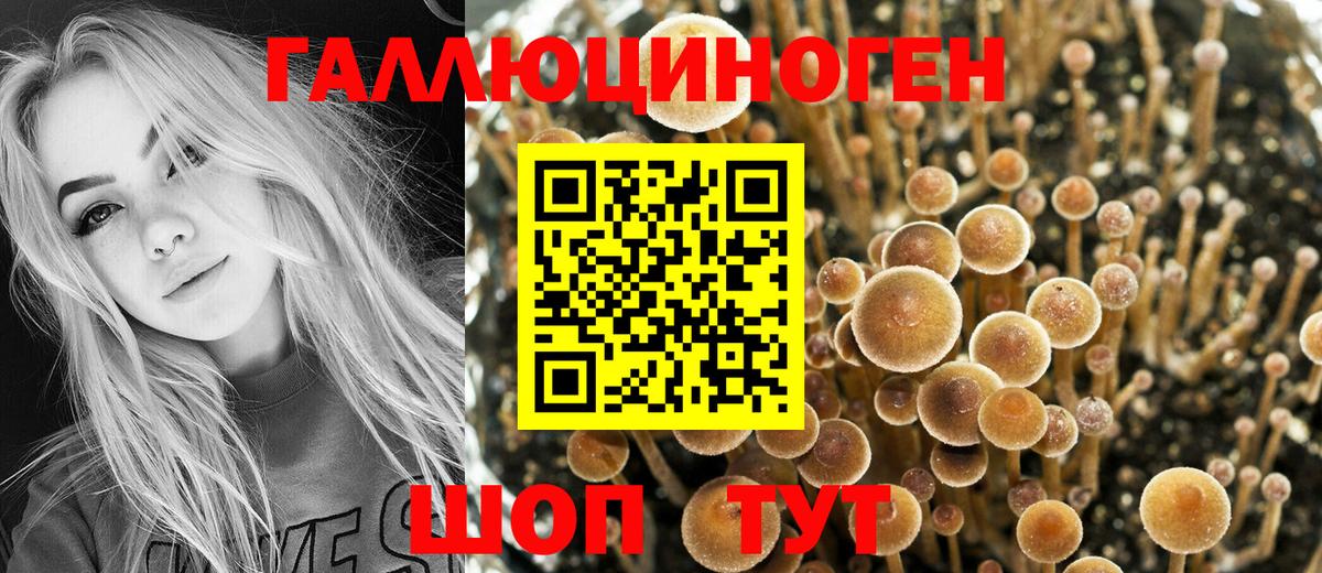 Ступино  купить   Вход с VPN  Галлюциногенные грибы Psilocybe  Галлюциногенные грибы мухоморы 
