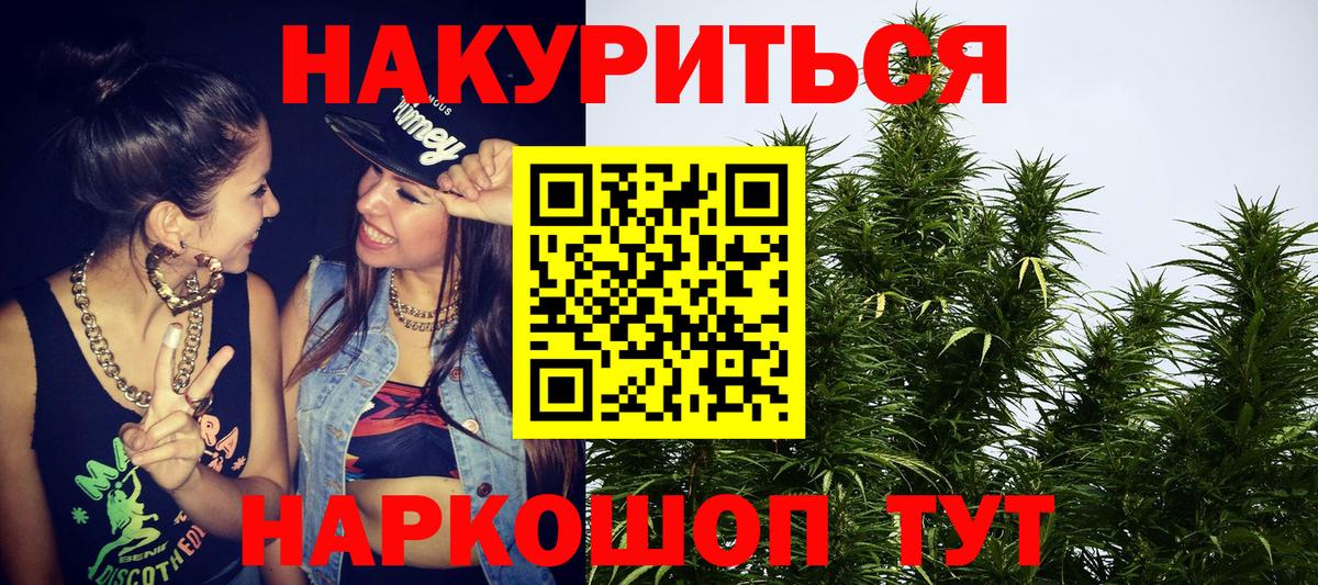Каннабис сатива Ступино